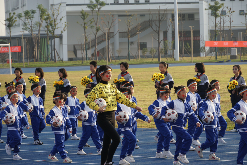 DSC02013.jpg