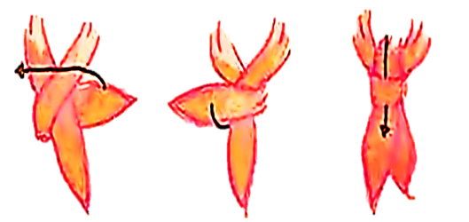 4.png