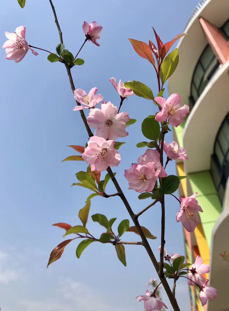 微信图片_20210219110315.jpg