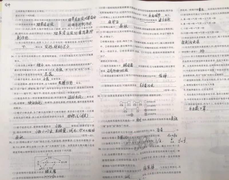 微信图片_20210308100734.jpg