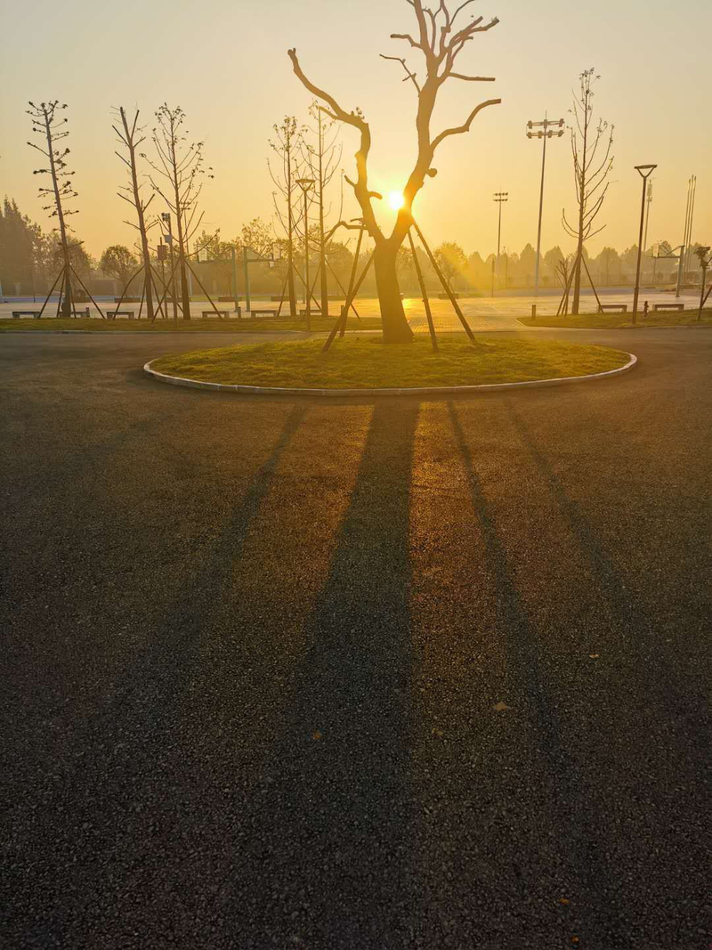 常德市郡德学校-肖娜-向阳生长.jpg