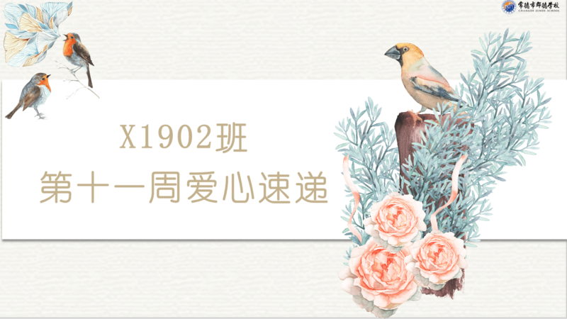 爱心速递   第十一周（2020年下学期）